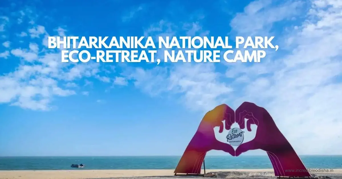 Featured image for Bhitarkanika National Park Travel Guide