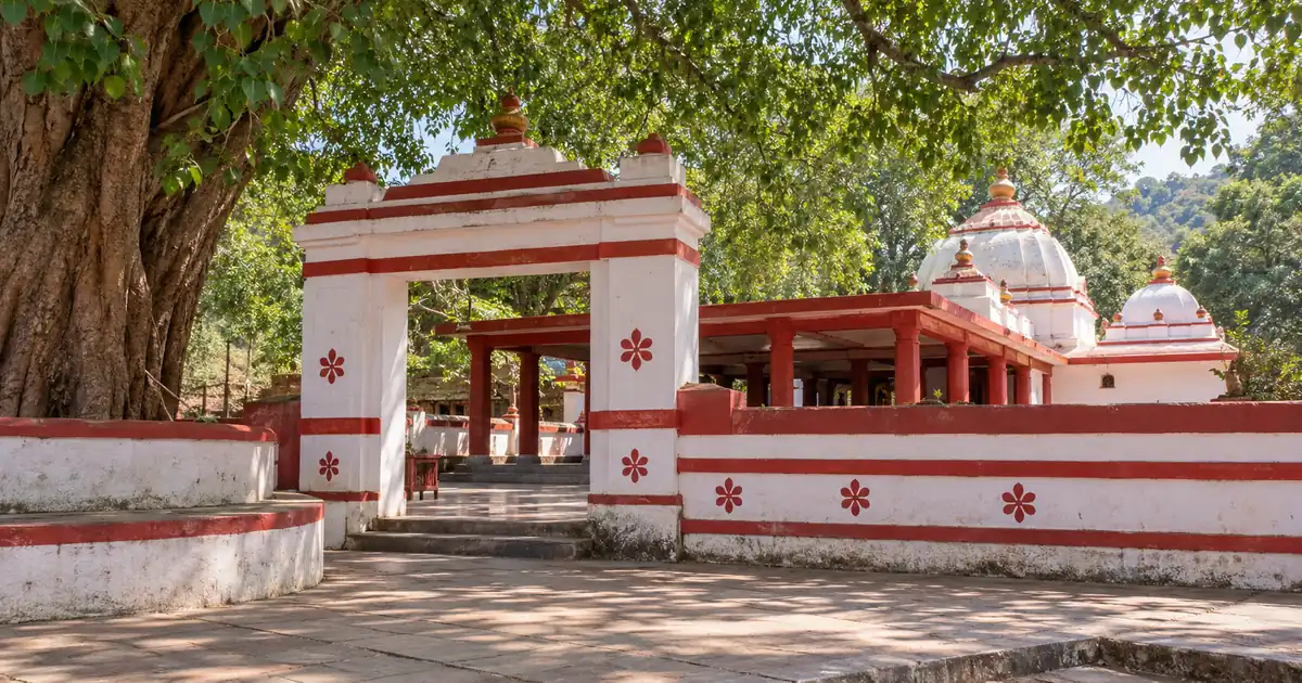 Painted gateway and red-pillared temple buildings beneath a shade tree