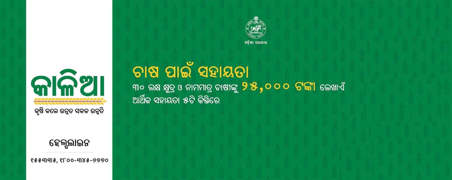 Featured image for Odisha Krushak Portal KALIA: Registration and Benefits