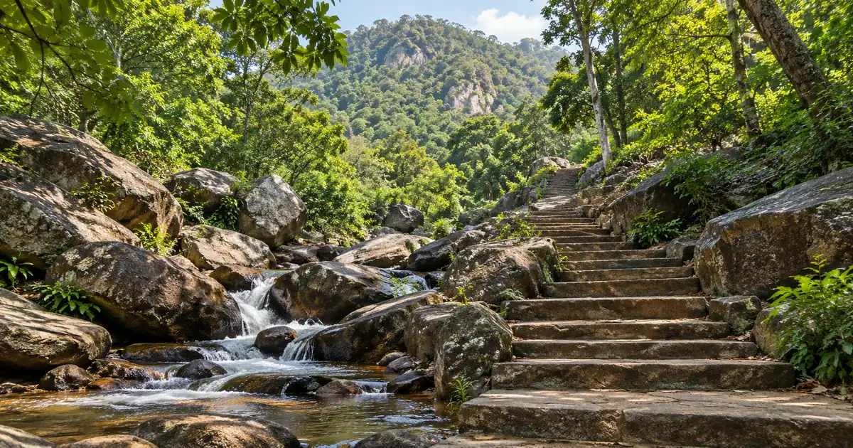 Illustrative forest steps and a clear stream among granite rocks at Panchalingeswar