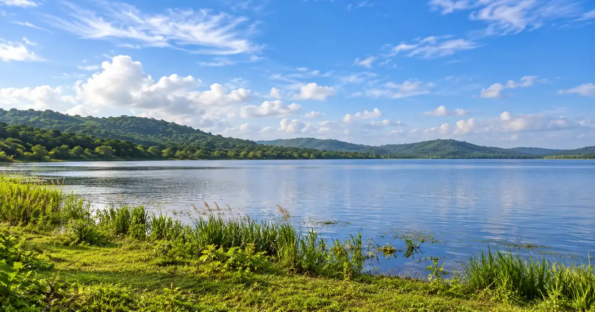 Ansupa Lake’s reed-lined shore and wooded hills near Cuttack