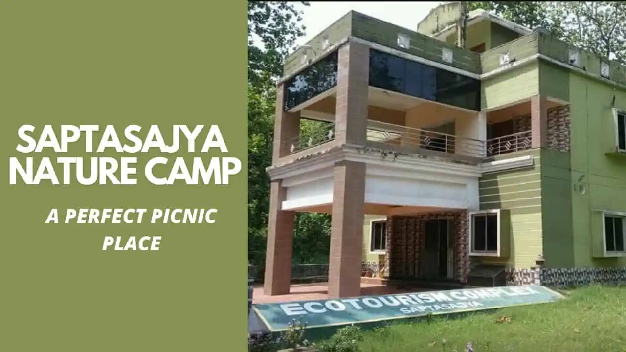 Featured image for Saptasajya Nature Camp: Travel Guide