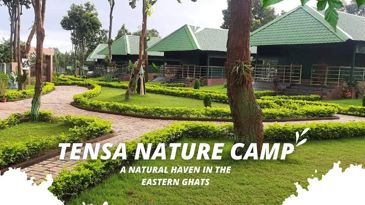 Featured image for Tensa Nature Camp Sundargarh: Travel Guide