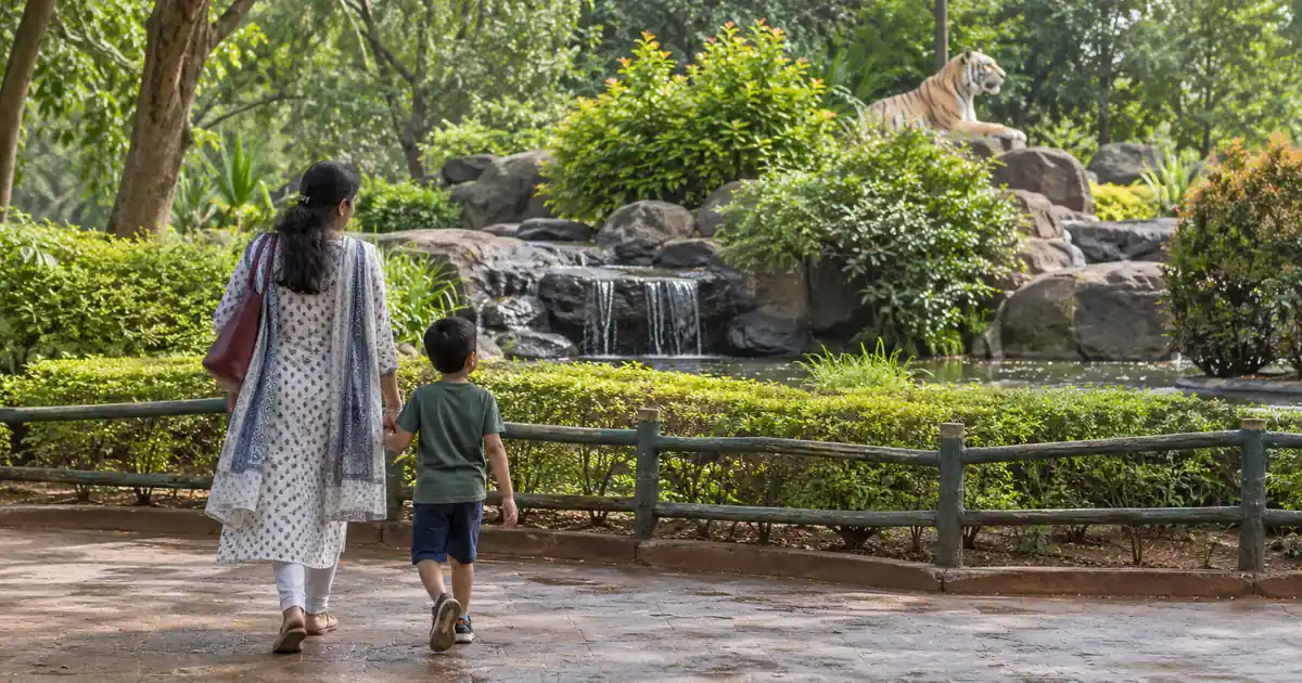 Parent and child walking toward a tiger sculpture and fountain at a landscaped zoo