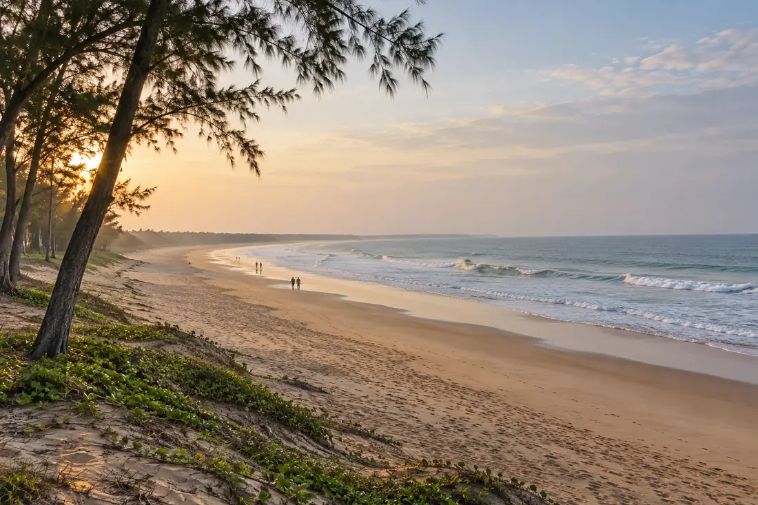 Casuarina trees frame the sandy shore at Gopalpur-on-Sea