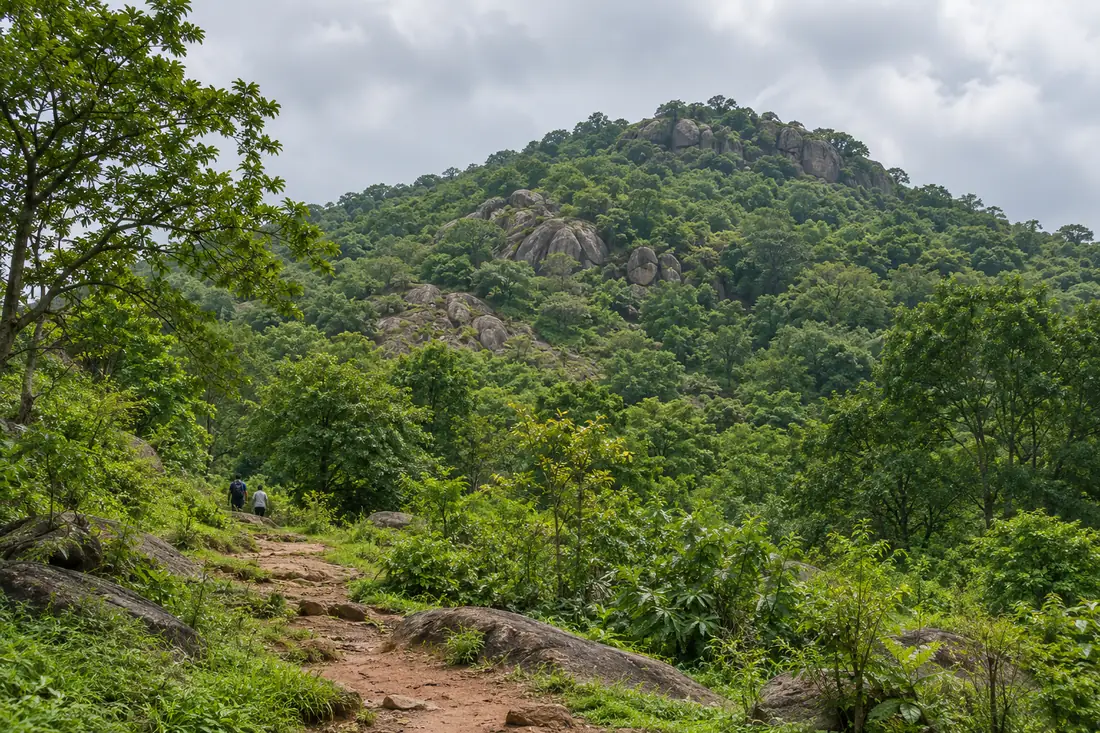 A forest footpath crosses the rocky, wooded Barunei Hills