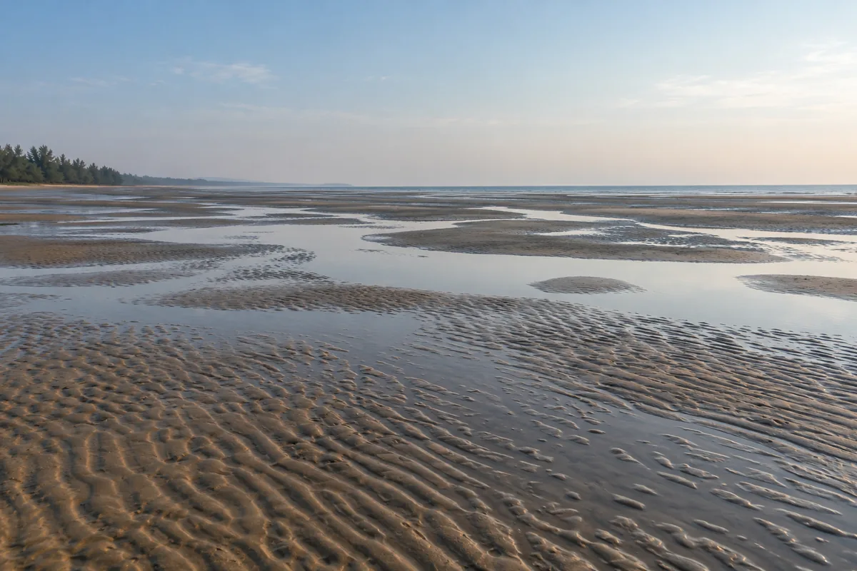 Illustrative low-tide flats with rippled wet sand and shallow tidal pools