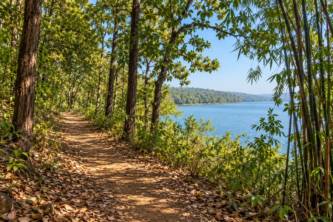 A forest trail follows the reservoir edge in Chandaka sanctuary near Deras