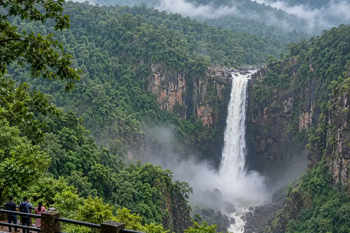 Joranda Waterfall viewed from a forest lookout