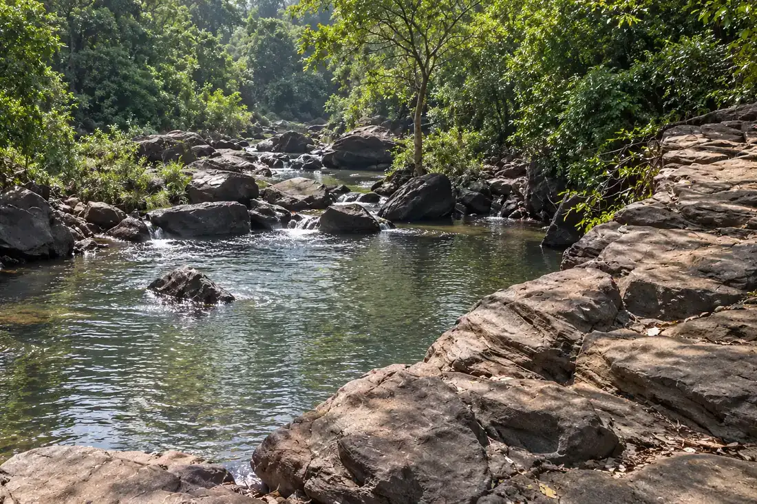 Shallow stream and broad rocks along a forested watercourse near Koilighughar