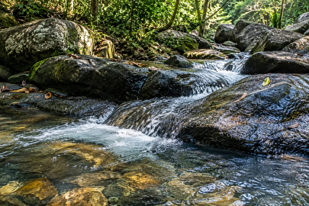 Illustrative clear water flowing over granite rocks beneath a forest canopy