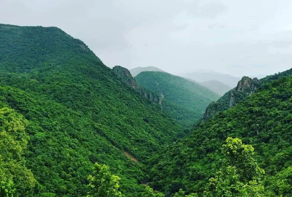 Daringbadi Hill Station - The Kashmir of Odisha