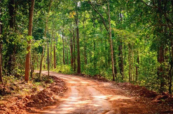 Similipal Nature Camp Odisha - A Pristine Biosphere Reserve