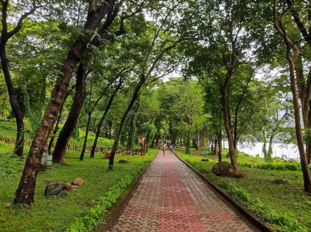 Tikarpada Wildlife Sanctuary - Nature's Haven on Mahanadi