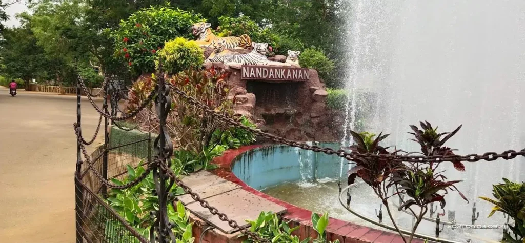Nandan Kanan Zoo Bhubaneswar - White Tiger Safari and Botanical Garden