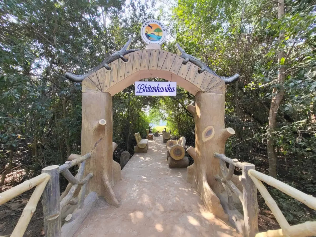 Bhitarkanika National Park wooden bridge