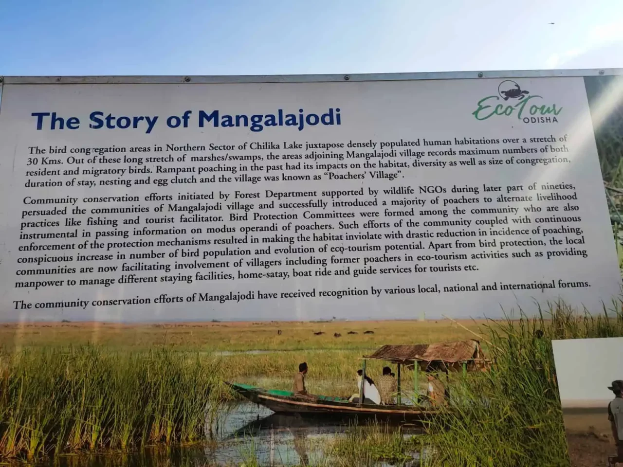 Mangalajodi Nature Camp Birding
