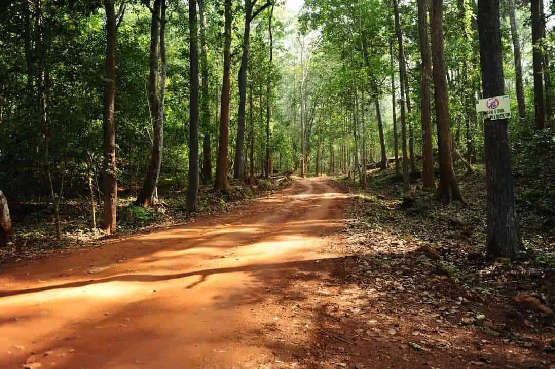 Similipal Tiger Reserve Road