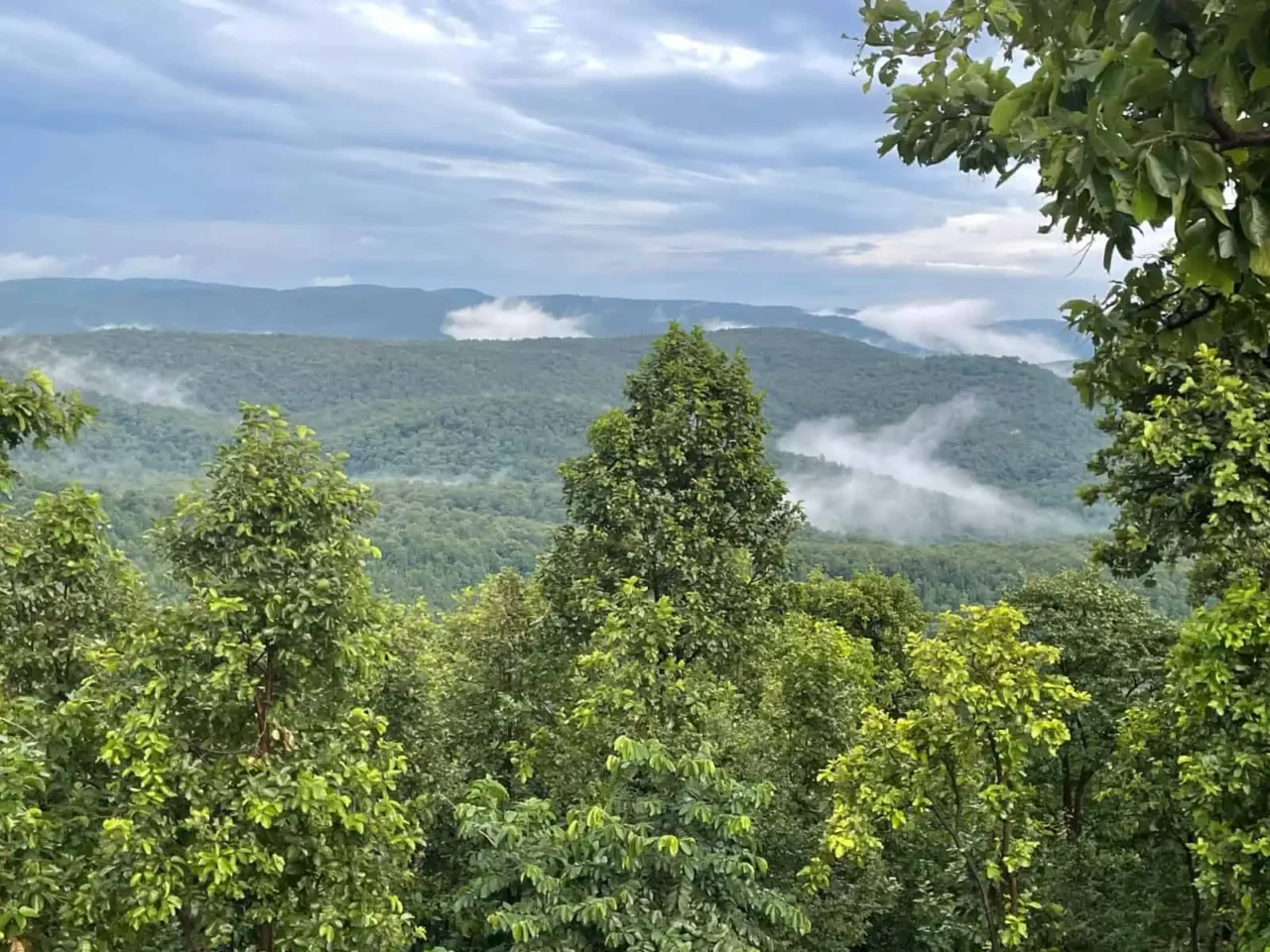 Tensa Nature Camp Scenic View