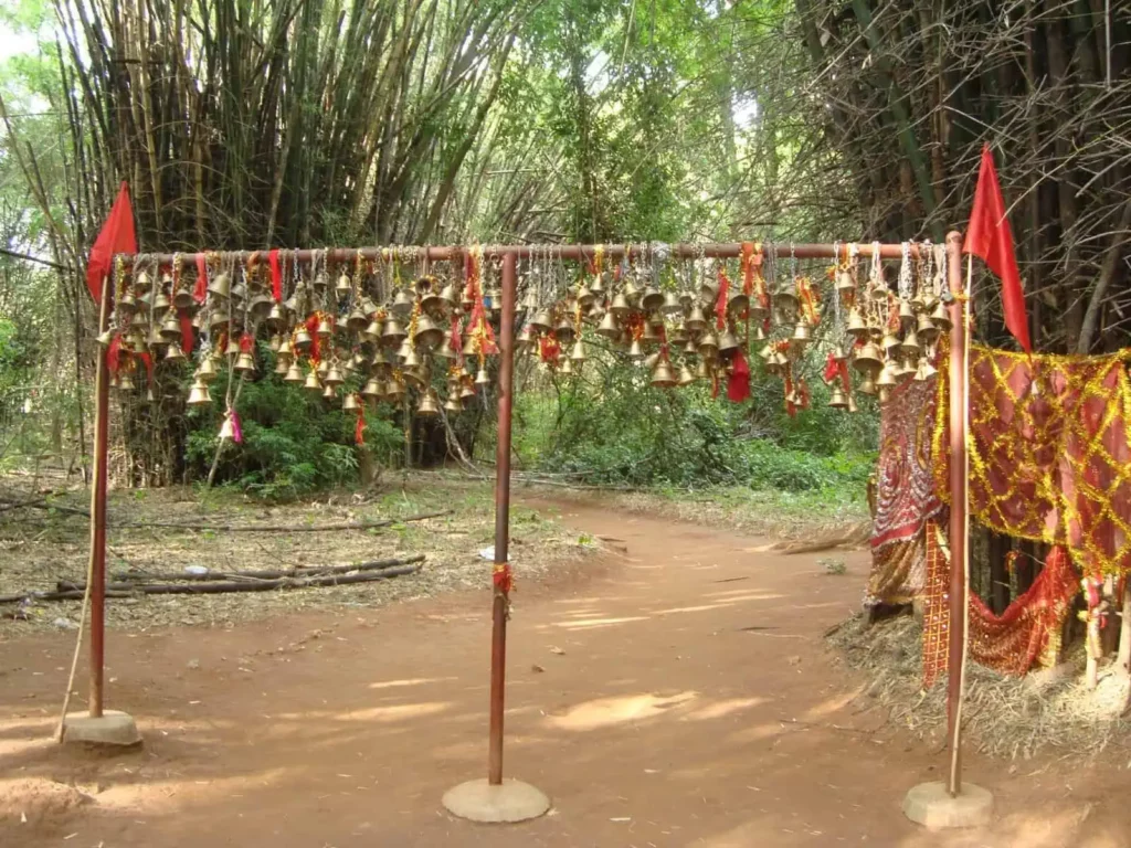Maa Kanta Baunsuni Temple bamboos