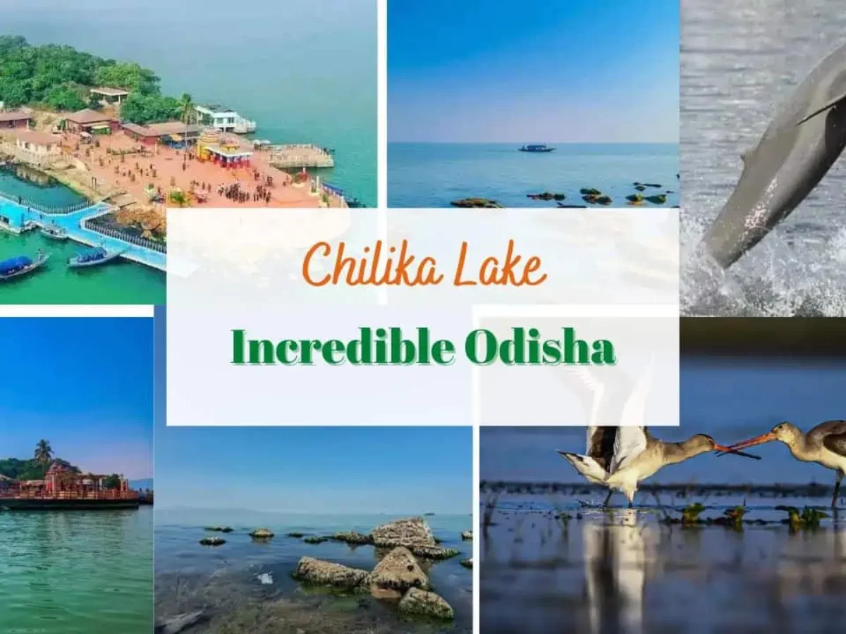 Chilika Lake: 7 Things To Do And See, Dolphins, Kalijai Temple, And Garuda  Chilika In 2024 - Incredible Odisha