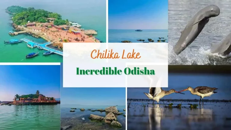 Chilika Lake: 7 Things to Do and See, Dolphins, Kalijai Temple, and Garuda Chilika