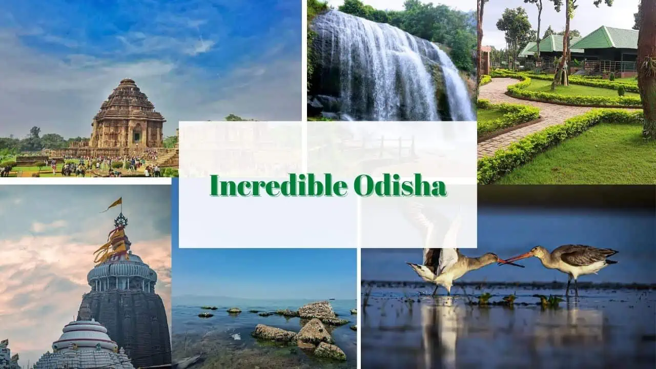 Odisha tourism