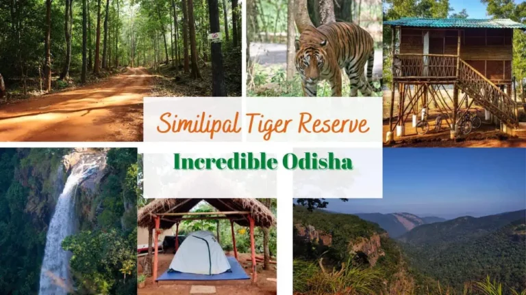 Similipal Tiger Reserve, Nature Camp, National Park, Location, Distance, How to Reach, Entry Fee and Booking