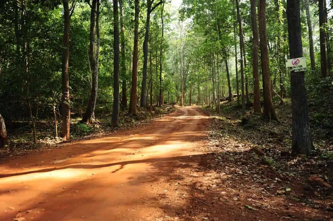 Similipal Tiger Reserve Rate road