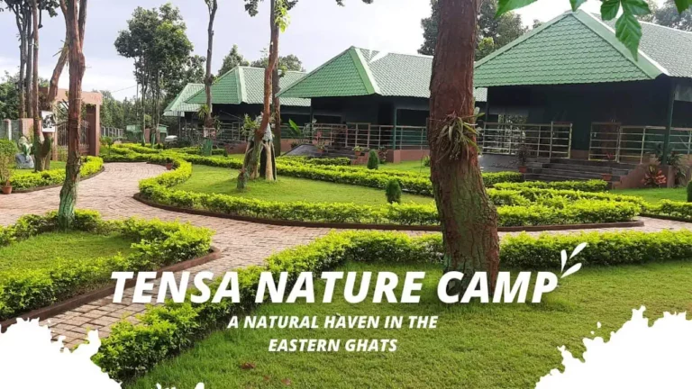 Tensa Nature Camp, Sundargarh – Location, Distance, How to reach, and Booking