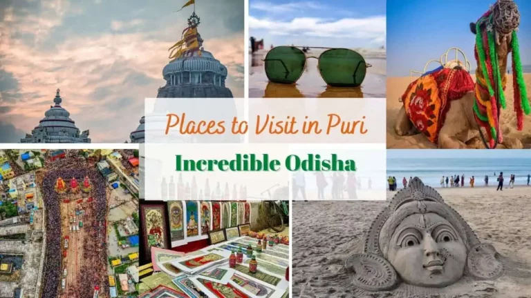 Top 10 Best Places to Visit and Things to Do In Puri