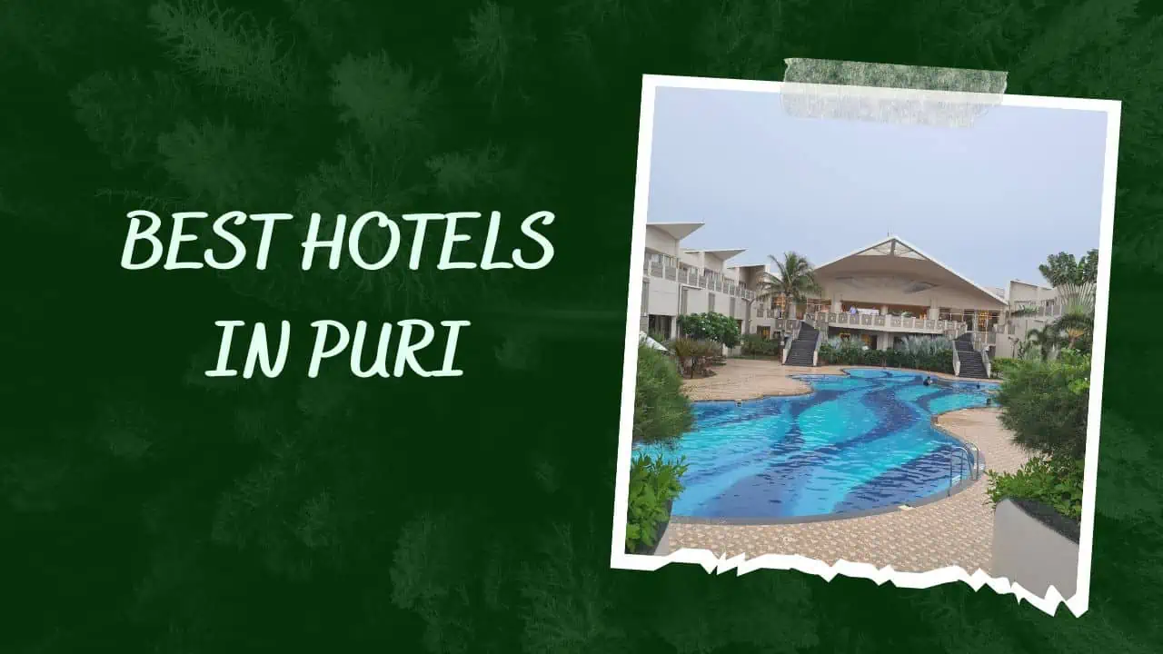 Top 10 Best Hotels in Puri